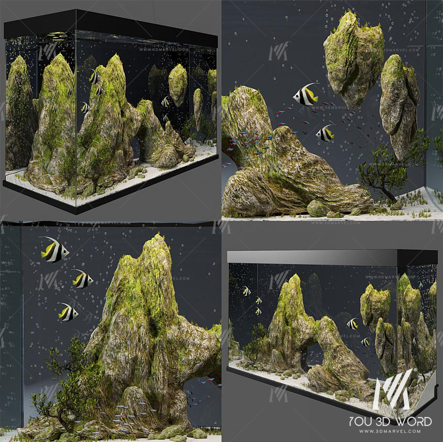 Aquarium with rocks and moss